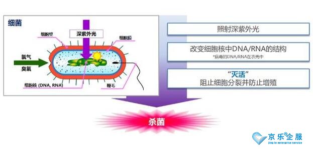 海信中央空調(diào)紫光盾殺菌模塊上市，健康技能加持升級(jí)-1