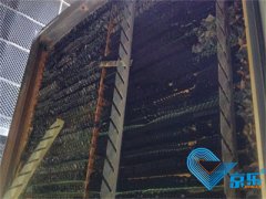 寫(xiě)字樓風(fēng)機(jī)盤(pán)管清洗 清洗中央空調(diào)怎么算錢(qián)